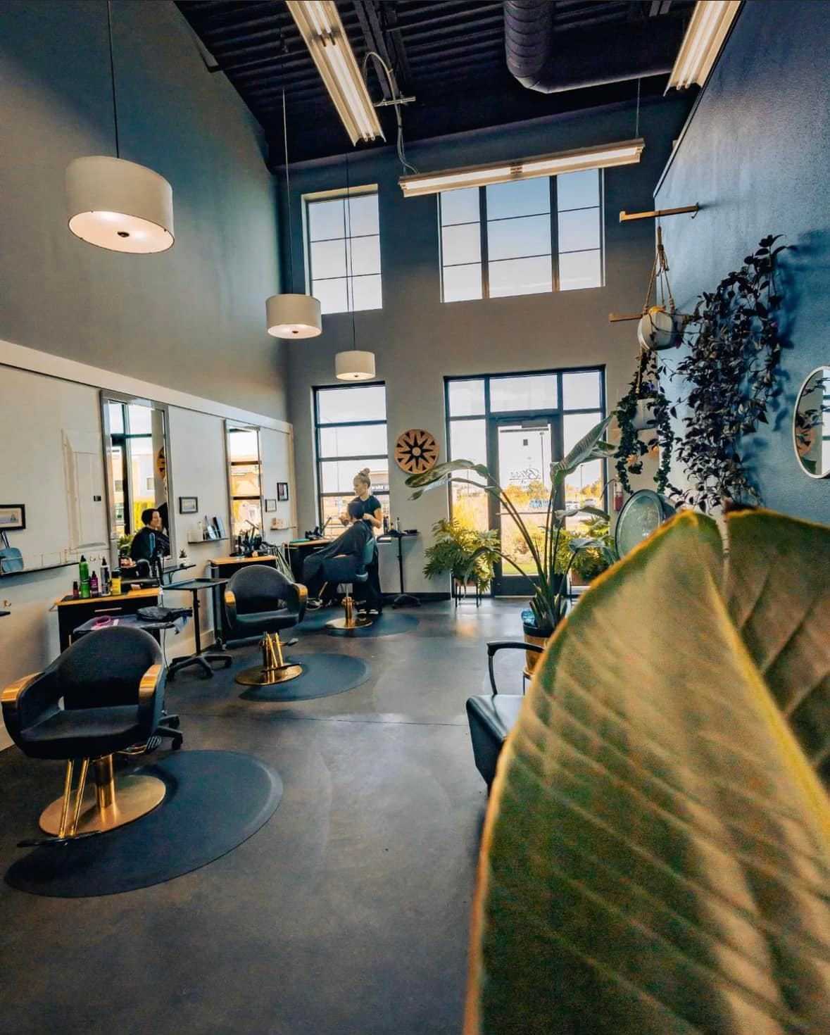 Modern salon interior with stylish chairs, large mirrors, plants, and bright windows.